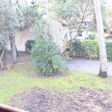 Ref 141 ,Seignosse Les Bourdaines , Villa Bouharde Classee 3 Etoiles, A 600 M Plage, 10 Personnes מראה חיצוני תמונה